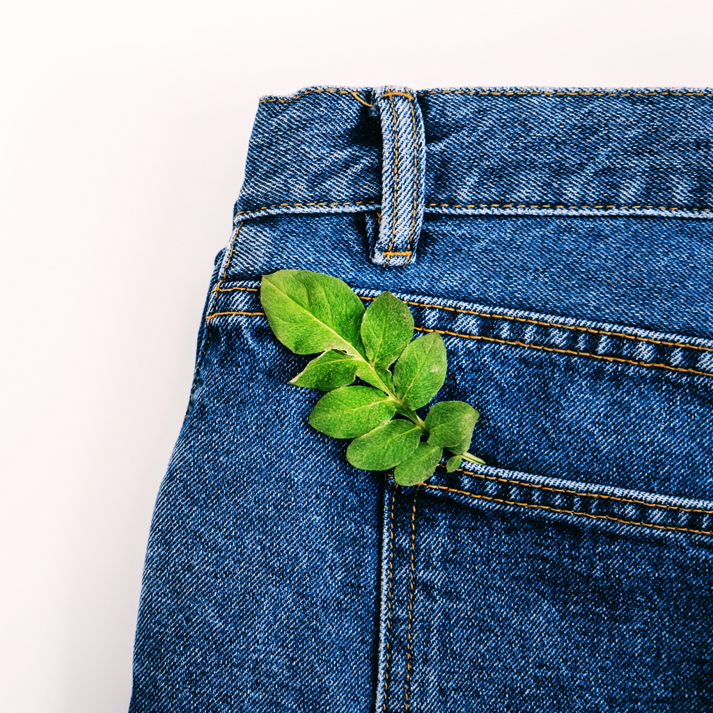 Cómo Identificar y Evitar el Greenwashing en la Moda: Guía para un Consumo Consciente