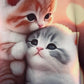 BUZO Estampado gatos. Talla XS*