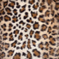 CHALECO Efecto pelos estampado animal Print. Talla XS*