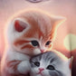 BUZO Estampado gatos. Talla XS*